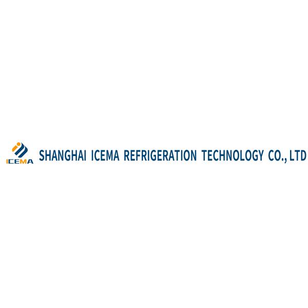 9T/h Capacity Portable Stainless Steel ICEMA Mini Ice Maker Machine For Fresh Keeping