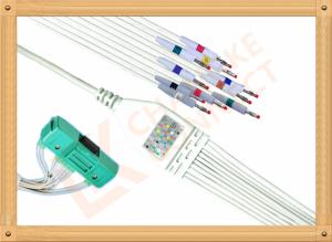Wholesale BR 911D Nihon Kohden Ecg Cable One Piece Ecg Cable Banana AHA from china suppliers