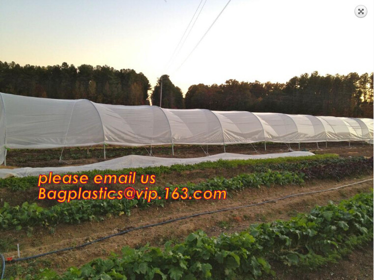 Monofilament Knitted 100% virgin HDPE Material Transparent Anti hail Netting,Polyester fiberglass anti insect net for in