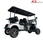 Customizable 4 Seat Golf Cart Buggy 48v Battery 80km Driving Mileage