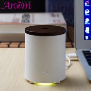 Wholesale USB / Battery Powered 100ml Portable Bamboo Fragrance Diffuser from china suppliers