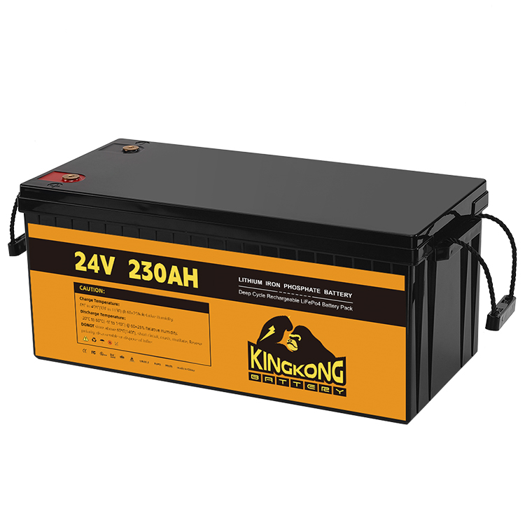 24V 50Ah 60Ah 100Ah 200Ah 230Ah 300Ah 400Ah 460Ah Iron Lithium LifePo4 Battery With BMS