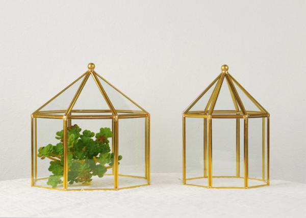 Glass gold black copper greenhouse dust box cake cover jewelry window display