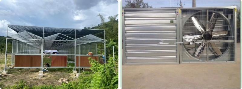 Agricultural Super Strong Resistance Vegetable Fruits Flowers Polycarbonate Sheet Greenhouses