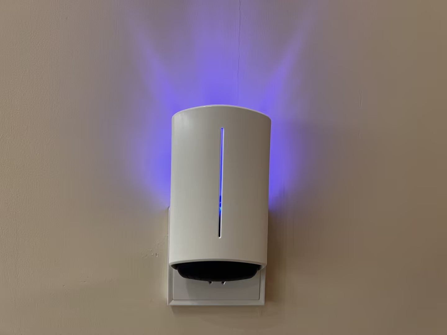 Disposable Wall Plug in Moth Flying Insect Termite Glue Trap Pest-Free with Sticky Pads 8.5*6*14.5CM 79.8g