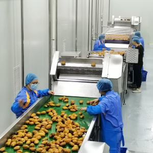 Wholesale Mango Processing Line Mango Pulp Puree Production Line from china suppliers