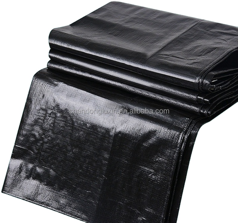 Plain Design Woven PE Tarpaulin for Waterproof Roof Cover in Customer Request Color