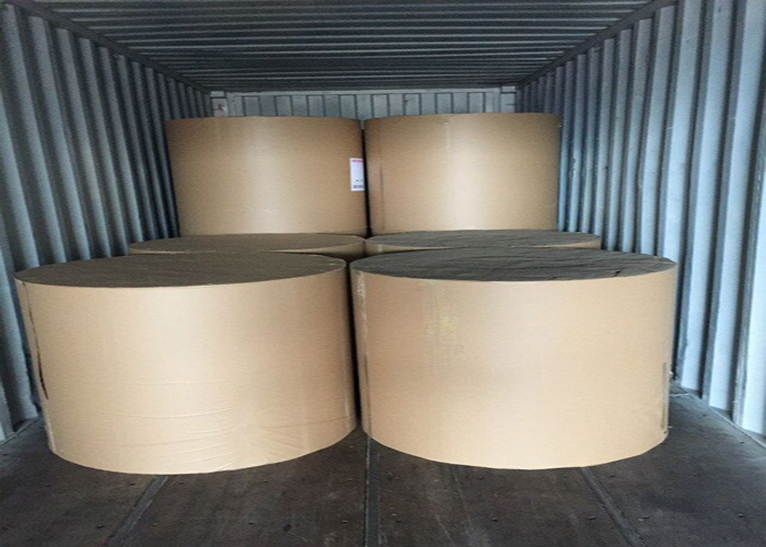 FSA 100% Vigrin Pulp Cellulose White Color Cardboard High Bulk 1.0mm 2mm