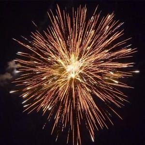 Wholesale Import China Mandarin Fireworks Liuyang Pyrotechnics 2 Inch 12 Shots 500g Consumer Cake Fireworks For Celebration from china suppliers