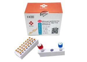 Wholesale Vannamei shrimp White Spot Syndrome Virus WSSV Rapid Test Kit Prawn Baculovirus PCR Kit from china suppliers