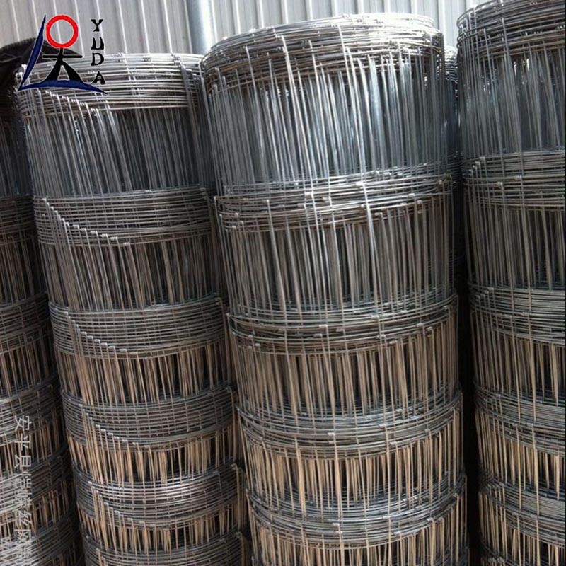 Fixed Knot Animal Farm Guard Woven High Tensile Metal Wire Netting