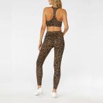 Polyester Spandex Gym Wear Yoga Workout Outfits With Animal Print
