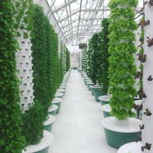 Wholesale Soilless Petal 12 Layers Hydroponic System Grow Tower With Light For Lettuce from china suppliers