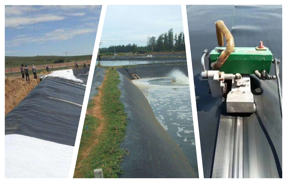 Length 50-200m Geomembrane for Fish Ponds Smooth and Durable 1mm 2mm Thickness