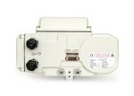 Smart Electric Positioning 400Nm DC Rotary Actuator