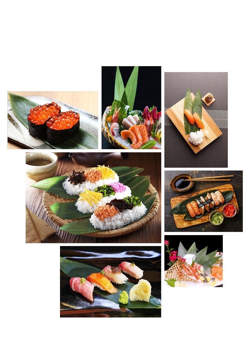 Japan Sushi Plates Decoration Green Fresh Dried Bamboo Leaves
