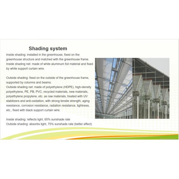 Automated Ventilation Venlo Type Greenhouse Polycarbonate Green House Energy Efficient