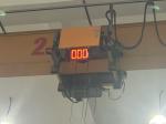Single Girder Electric Wire Rope Hoist 10 Ton 9M European Style