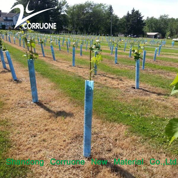 Customized Corrugated Plastic Tree Guard Made of PP Material for Protection