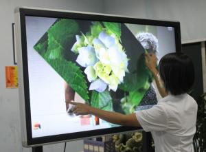 Wholesale New arrival 70 inch replacement lcd screen tv for TV show from china suppliers