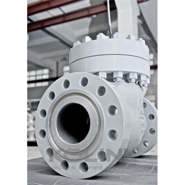 Swing Check Valve 2-36 Inch Class150-2500 WCB Flanged