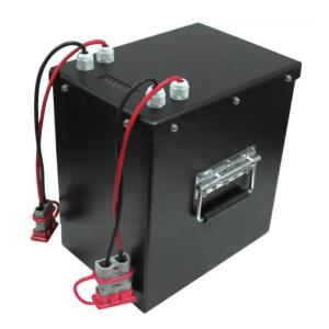 Wholesale Low Speed Phosphate Electric Vehicle Lithium Ion Battery 24V 120Ah Golf Cart Use from china suppliers