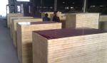 cheap construction materials/18mm film faced plywood/film faced shuttering
