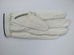 golf glove , golf gloves , glove , gloves