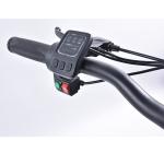 500w Electric Pedal Assist Mountain Bike 6geared With 10400mAh Battery
