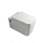 Bathroom Ceramic One Piece Toilet Modern Comfort Height Sanitary Wares