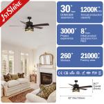 Black 52 Inches Industrial Ceiling Fan DC Motor Indoor Decorative