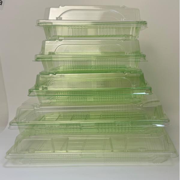 PLA Biodegradable Packaging Container Customized Size Logo Disposable Plastic Serving Trays PLA Food Tray