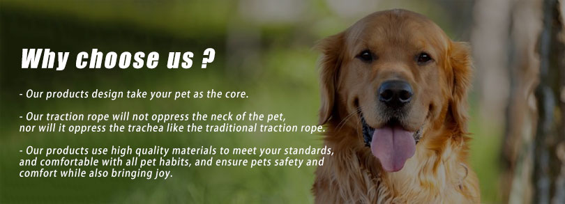 Dog Cotton Padded Jacket Winter Coat For Cat Cold Weather Coats Warm Vest For Pet Dog Clothes Outerwear