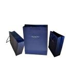 Spot UV Paper Bag Printing , Kraft Paper Shopping Bag With Twisted Handle