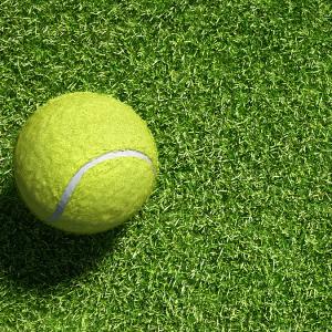 Wholesale Synthetic Artificial Turf Grass For Cricket Pitch 25mm Thickness Double Backing from china suppliers