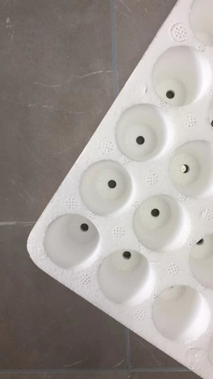 White 160 Seed Nursery Tray Eps160 Seed Planting Trays Aging resistant
