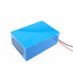 2.6KWh Electric Forklift Battery 24V 100Ah Deep Cycle Battery