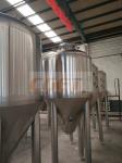 20 Bbl Fermenter Stainless Steel Tank Industrial Beer Brewing Equipment