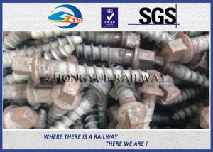 Wholesale Track Hex Head Railway Sleeper Screws , Square Head Screw Spike from china suppliers