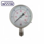 4" All Stainless Steel Pressure Gauge Dial 0-100bar 100mm SS304 Dry Oxygen