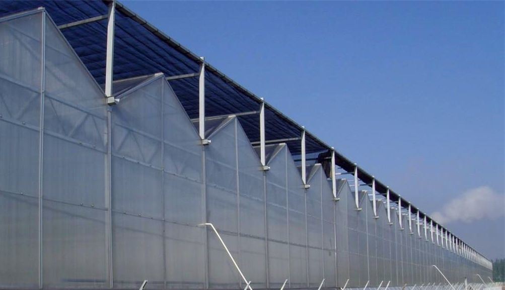 Customization Snow Vibrator Greenhouse for Tomato Planting