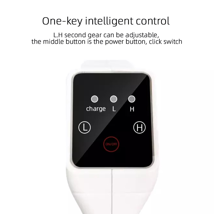 Touch Switch Homecare Medical Equipment Portable Mist Disinfecting Sprayer Blu Ray