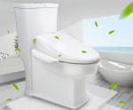 Health Care Customized Smart Toilet Bidet Seat Instant Heat Type For Bathroom