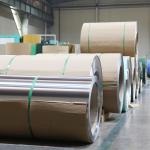 301 Stainless Steel Coil 1.4016/430/Stainless Steel Sheet 1.4016/Cold Rolled 2b