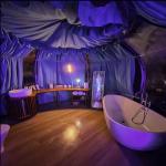 Elevate Your Outdoor Camping Experience Contemporary Star Rooms with Transparent
