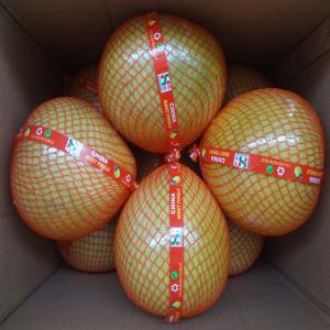 Wholesale Global GAP Certified Fresh Pomelo Citrus Fruits For Supermarkets from china suppliers
