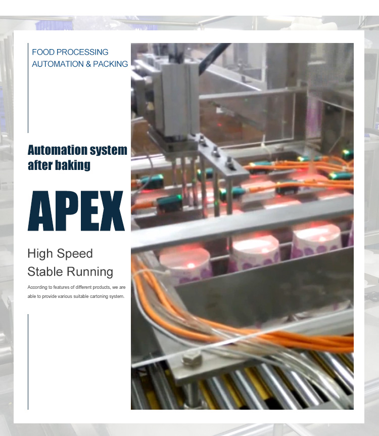 High Speed Stable Running Multi-Function Cookies Automatic Carton Box Packing Machine