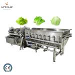 2021 Stainless Steel 316 Leafy Vegetable Production Line for Cabbage Washing