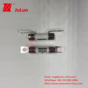 Wholesale Ceramic Automotive 10A 15A 750VDC Fuses Ceramic Vehicle Fuses 25A 30A 40A 50A Ues For EV Car Charger from china suppliers