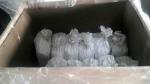 99.98% Pure magnesium ball For Water Filter magnesium prill beads